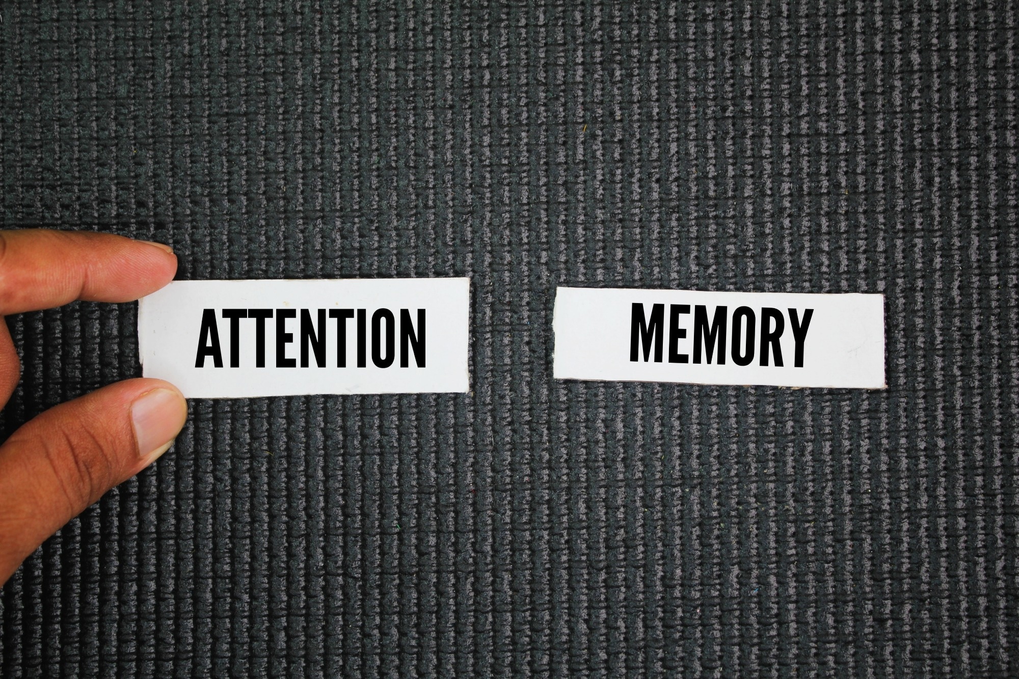 Limited attention can make rare events seem more likely over time