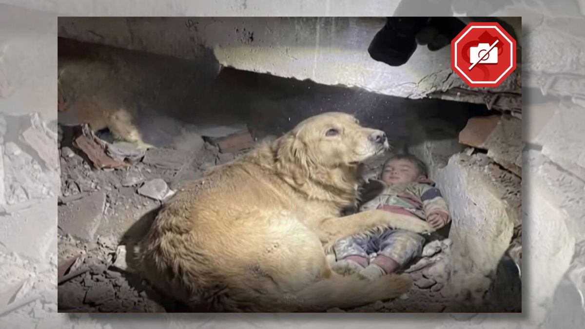 Fake image of dog protecting child spreads after deadly Venezuela earthquakes