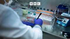 The Inquiry