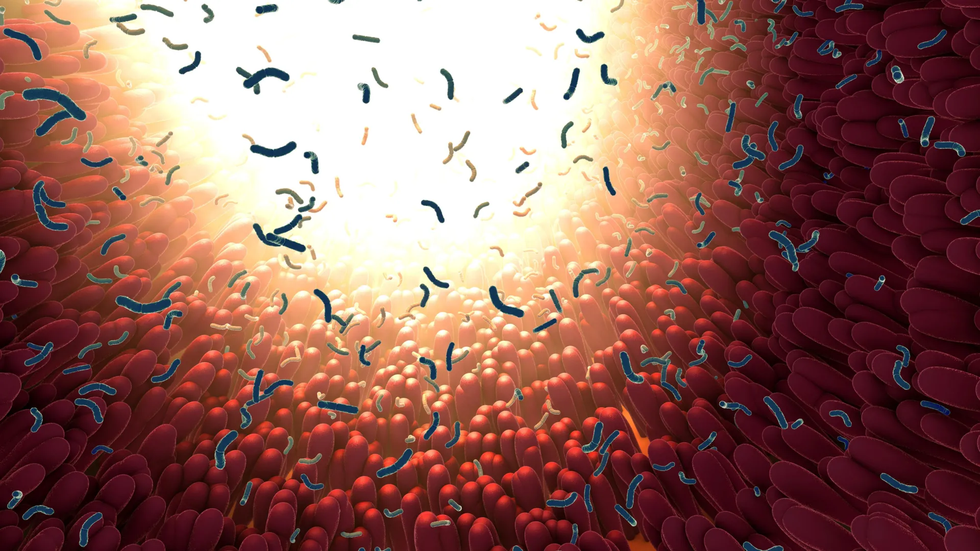 scientists-tested-39-sweeteners-and-found-unexpected-gut-effects