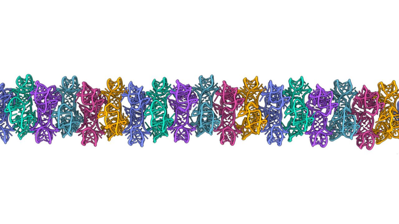 ‘RNA can do things which we have never seen before’: New study challenges assumptions about what RNA was up to at the dawn of life