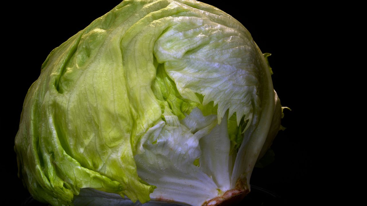 ‘Explosive diarrhea’ parasite infections in 5 states linked to Taco Bell lettuce; other cases still under investigation