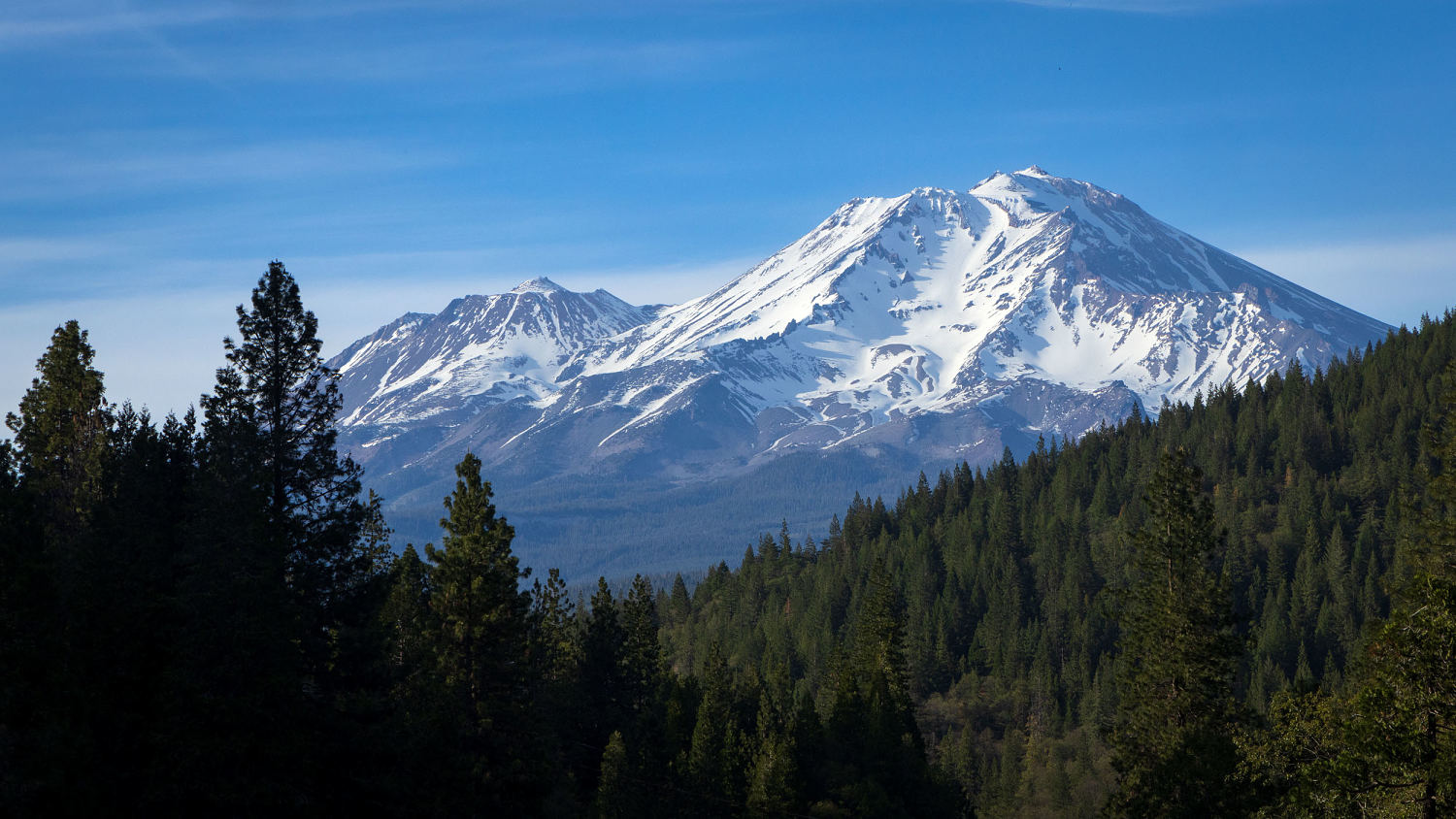 Two U.S. Forest Service employees rescued after being held hostage at gunpoint