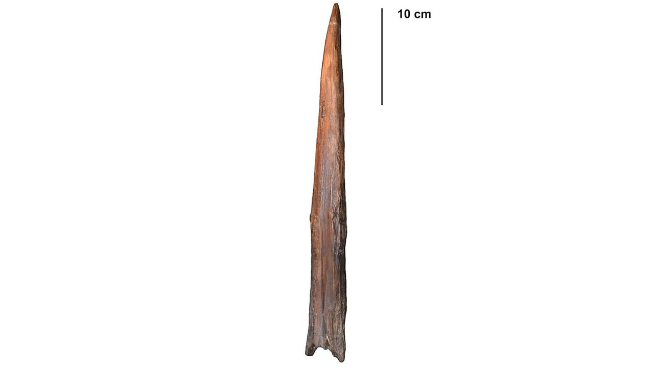 What’s the oldest weapon in the world?