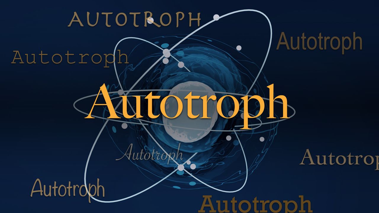 Science word of the day: Autotroph