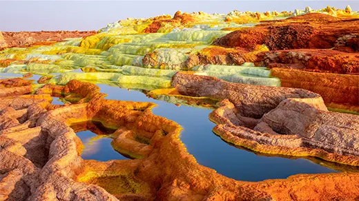 The Organisms That Make Earth’s Harshest Places Home