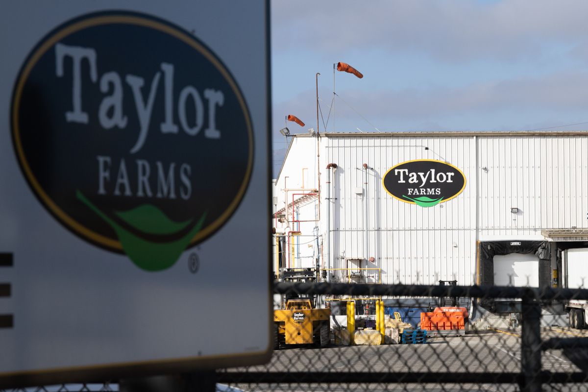 Making sense of claims about Taylor Farms, CEO’s Trump donations and meetings