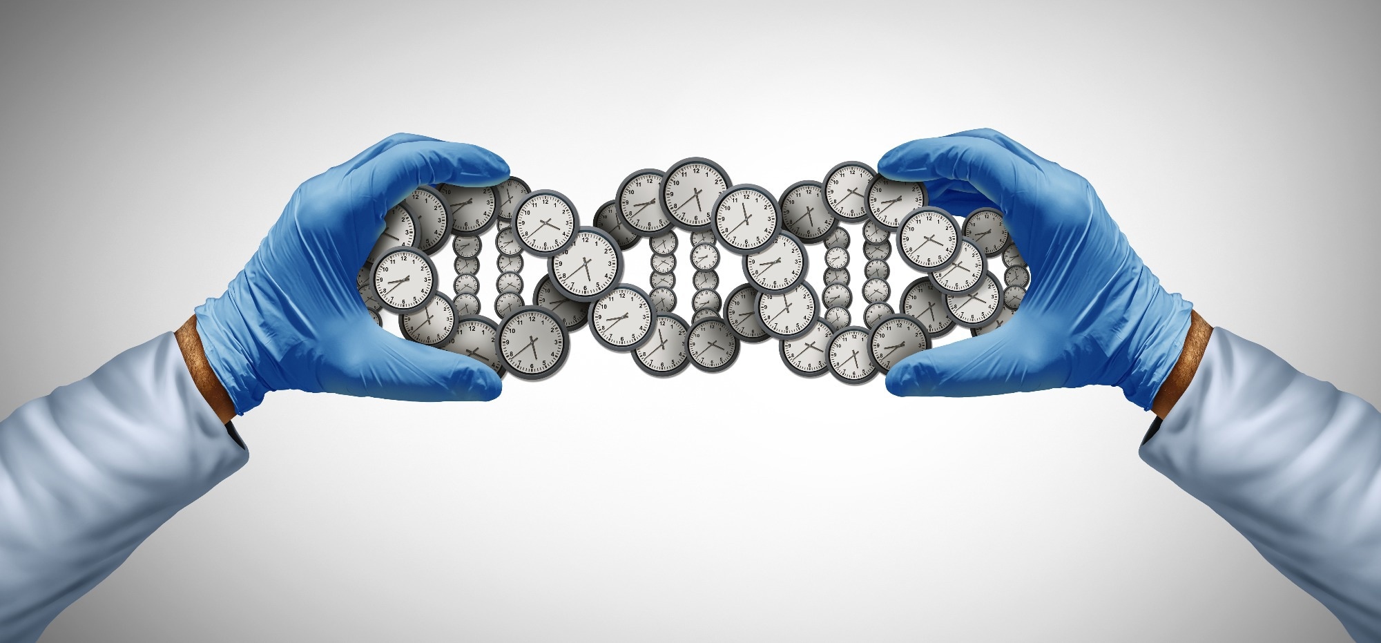Five epigenetic clocks reveal shared and distinct signals of aging