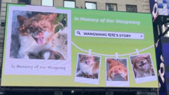 Blocked by censors, China’s animal lovers take fight against abuse offline and overseas
