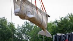 Watch: Beluga whales travel by plane and lorry to US from closed Canadian marine park