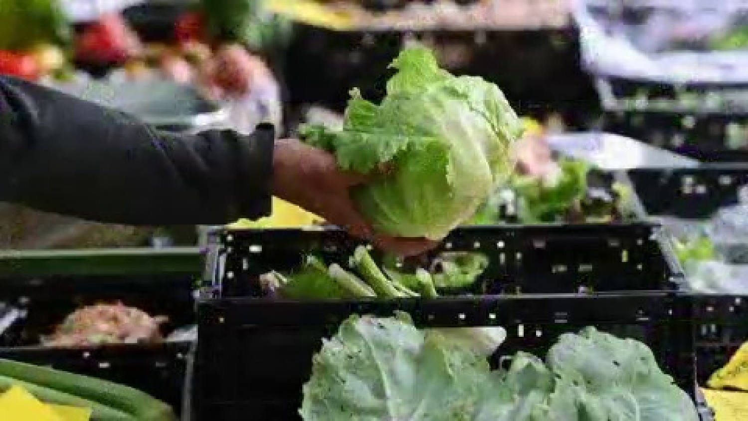 How the cyclospora outbreak is impacting the food industry