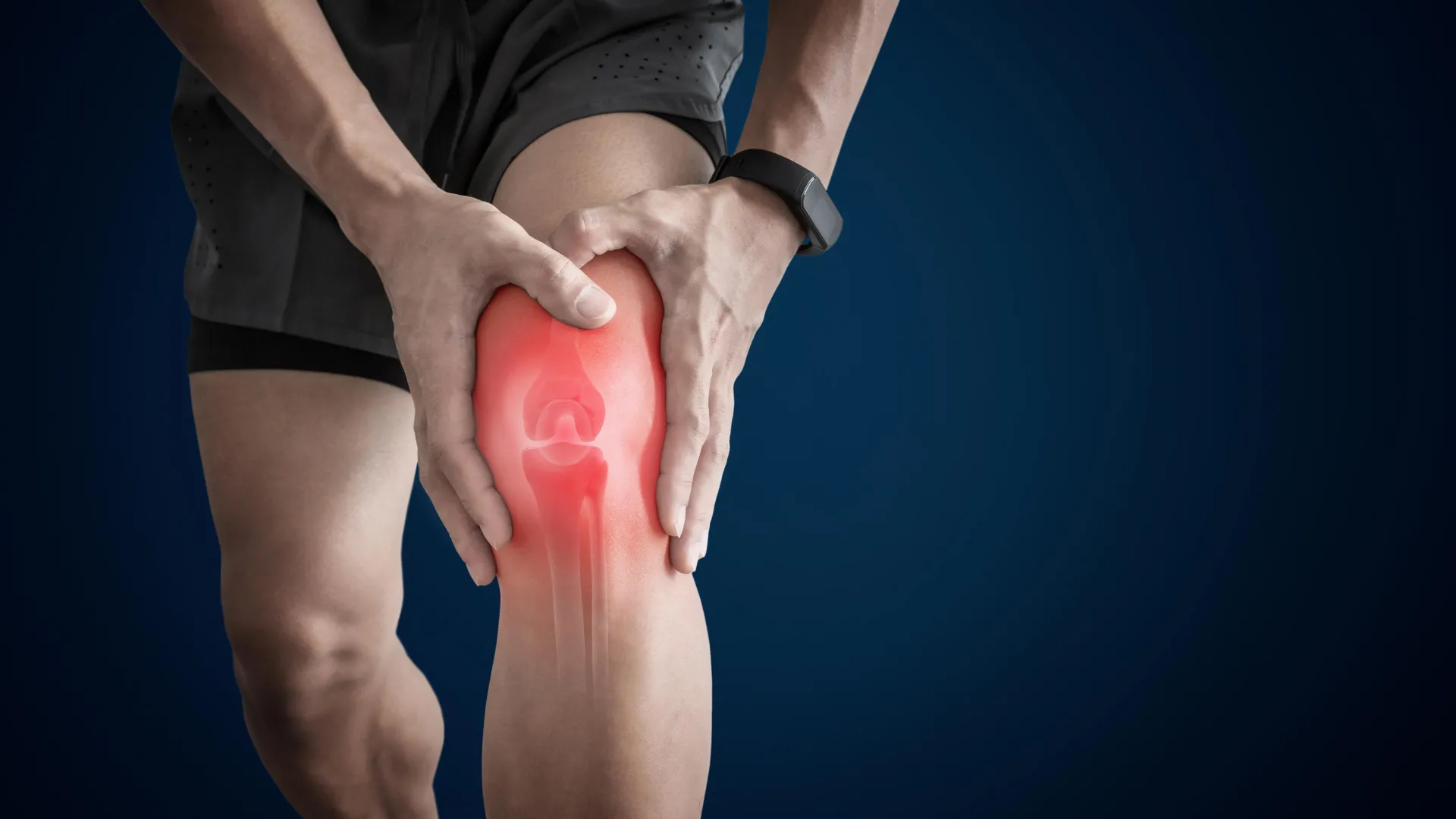 A daily fiber supplement reduced knee arthritis pain and improved strength