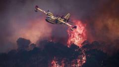 Devastating European wildfires in maps – and how they’re being tackled