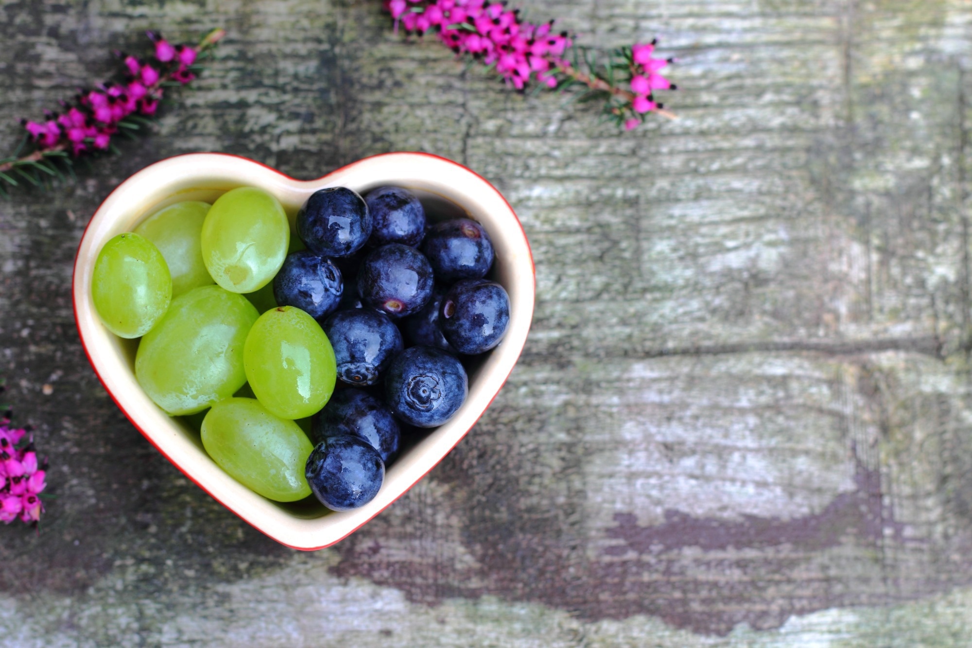 Review finds blueberry and grape polyphenols may improve vascular health