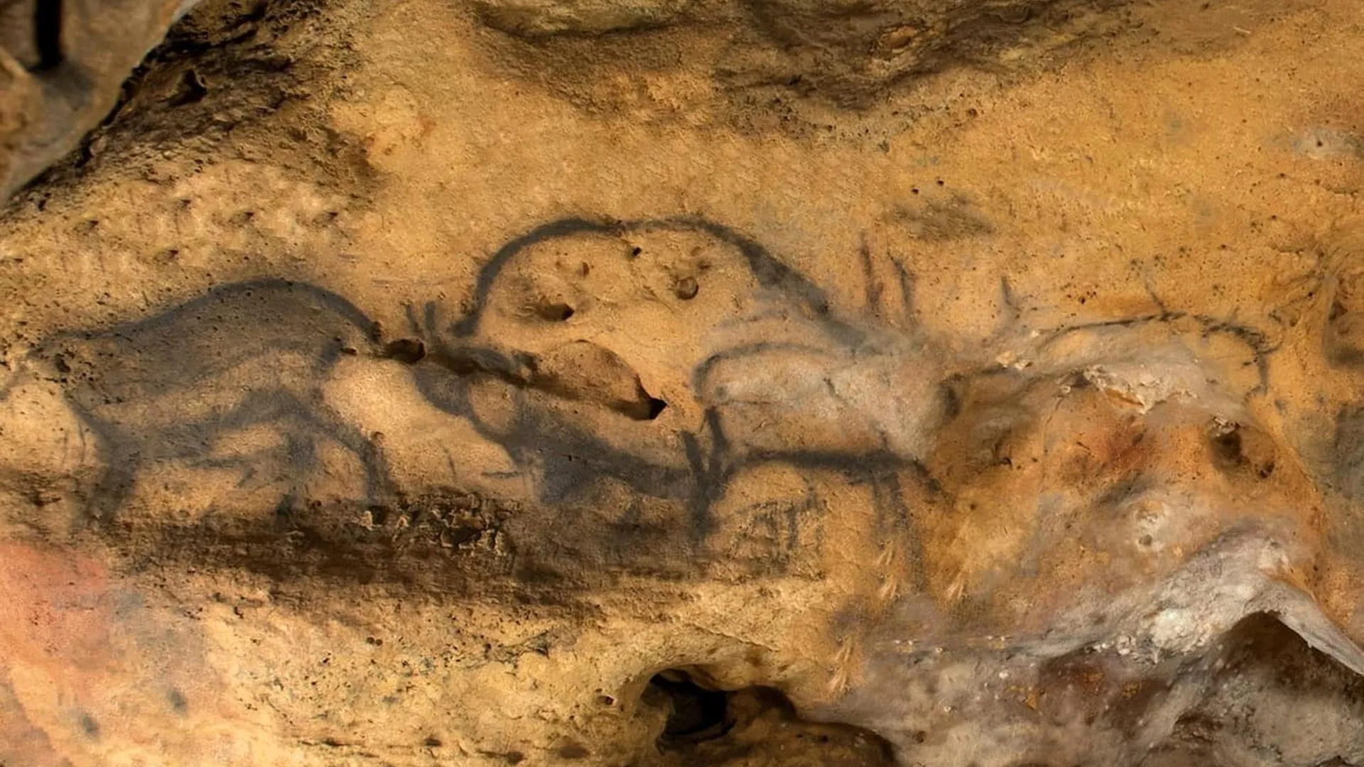 hidden-charcoal-reveals-the-true-age-of-ancient-cave-paintings