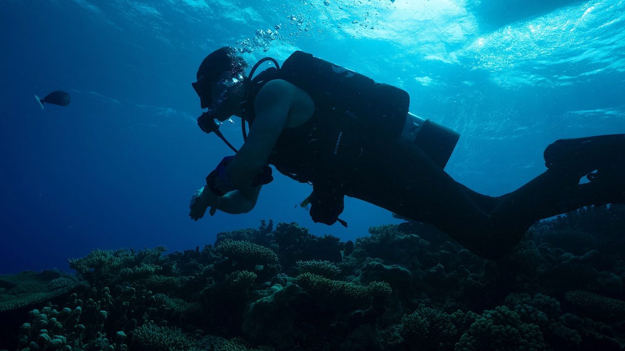 How to watch ‘Expedition X: Atomic Sharks’ – stream ‘Shark Week’ 2026 from anywhere