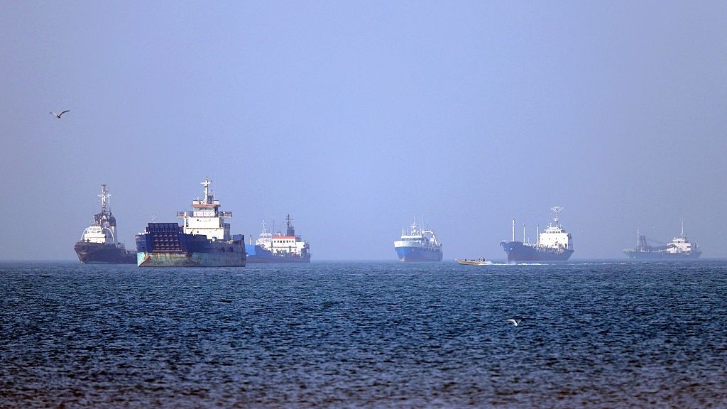 Biological ‘superspreader’ event could be imminent as more than 1,000 ships idle in the Strait of Hormuz, scientists warn