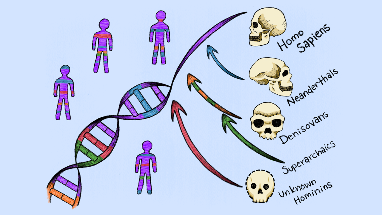 Scientists discover 2 new ‘ghost’ lineages that contributed DNA to modern humans