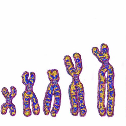 Not just Neanderthals: Ghost lineage in Africa left its mark on our DNA
