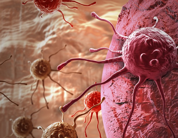 Scientists map protective cell networks hiding dormant breast tumor cells