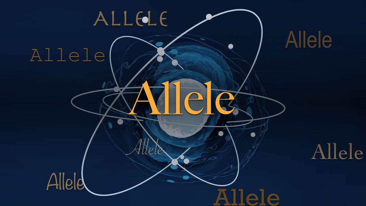 Science word of the day: Allele