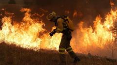 How Australia combines modern tech and Indigenous knowledge to fight wildfires