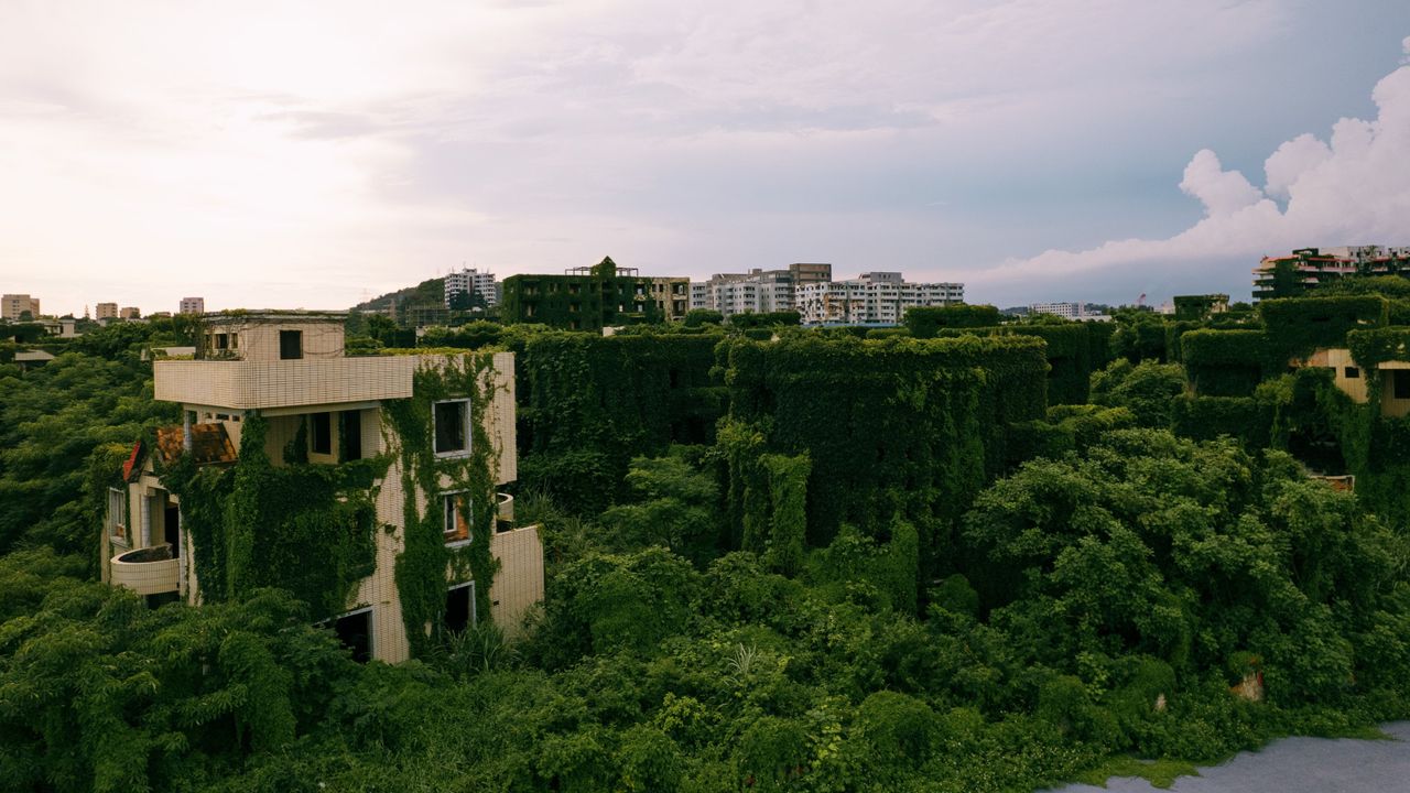 ‘The apparent chaos of the Anthropocene is turbocharging evolution itself’: Plants are finding ways to survive and thrive in the climate crisis — if we let them