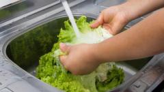 US reports first two deaths linked to  ‘explosive diarrhoea’ outbreak