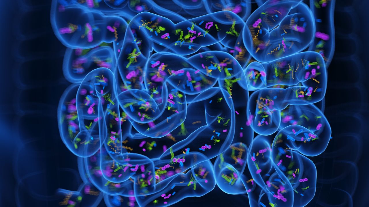 ‘Poop pills’ may ease insomnia by reprogramming the gut microbiome, early study hints