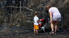 France wildfires reveal hundreds of WW2 shells in village