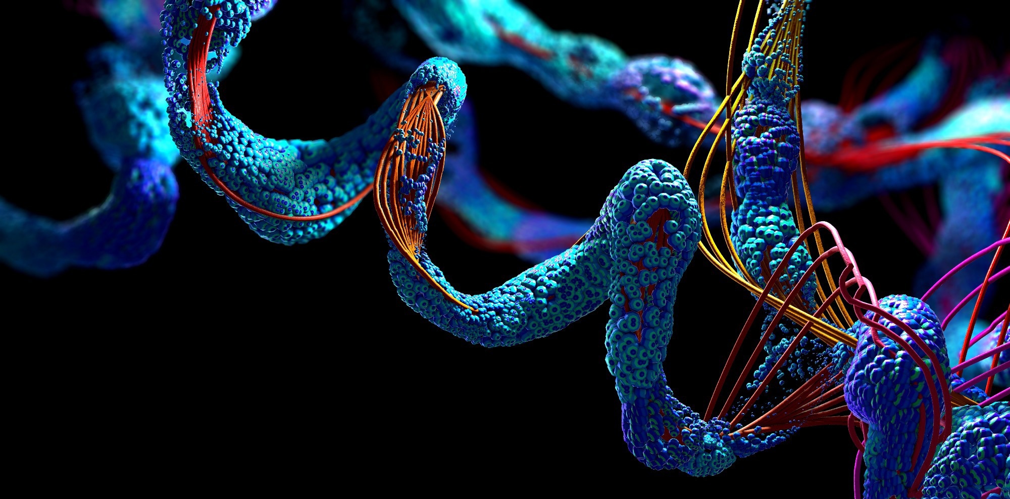 Restricting select amino acids may mimic protein restriction’s healthy aging benefits