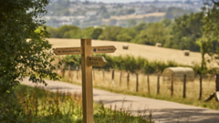 National Trust expands park by 32 hectares