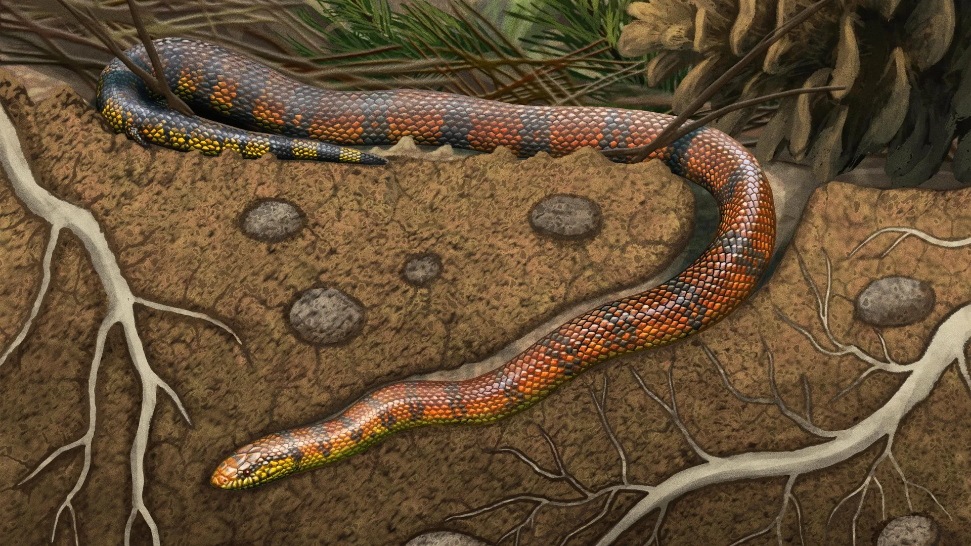 80-million-year-old snake brain reveals a surprising evolutionary secret