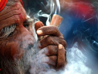 Nepal’s Gandaki province legalizes medical cannabis farming and use