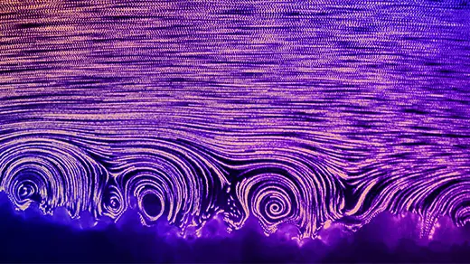 Corals Spin Tiny Vortices to Get Oxygen, but Not if It’s Too Hot