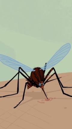 Fighting the world’s most deadly animal… in an unexpected way