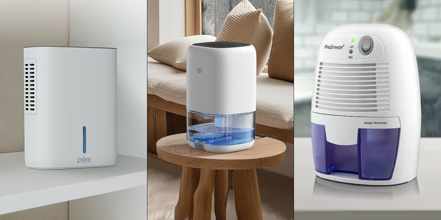 The best dehumidifiers to use if you have a small room or apartment
