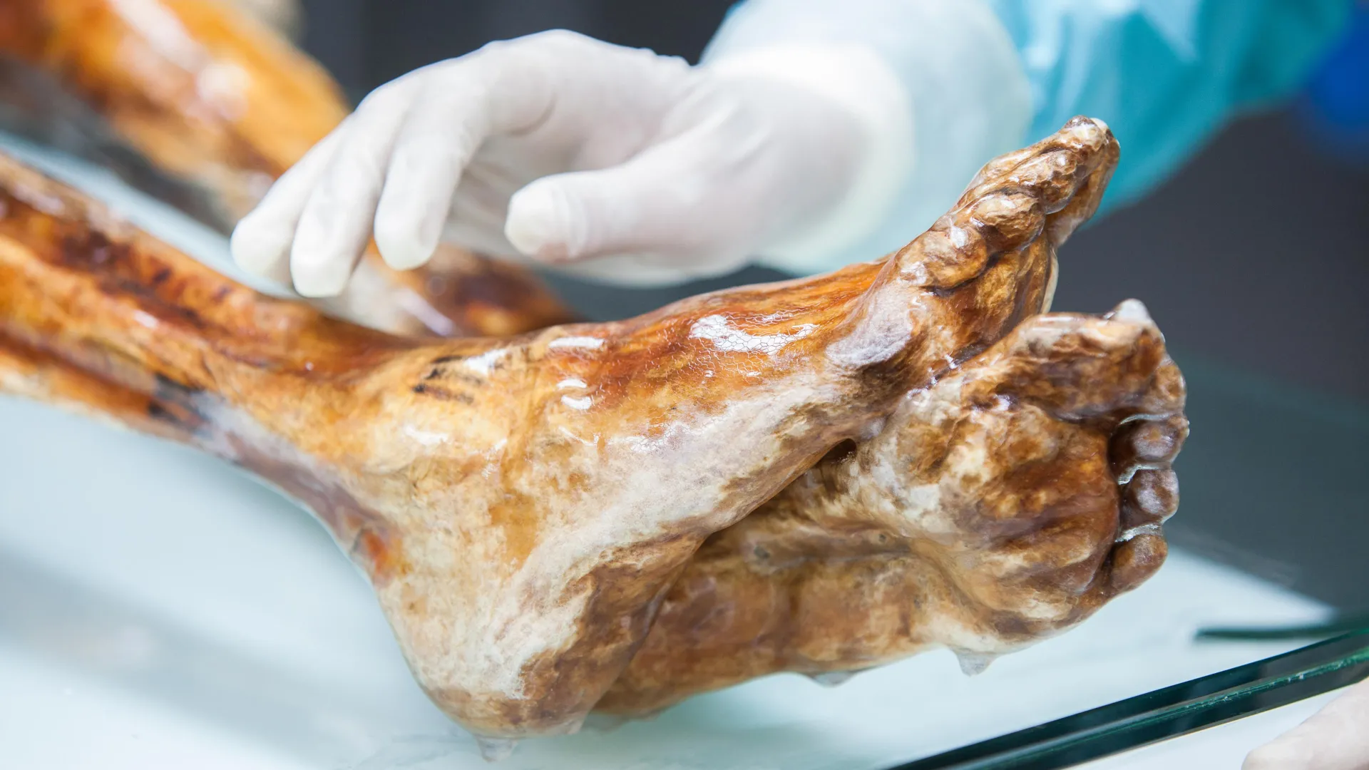 scientists-find-unexpected-life-on-otzi-the-iceman’s-5,300-year-old-body