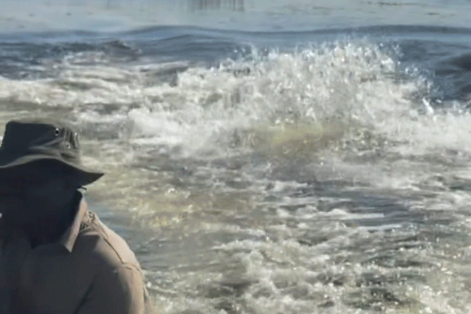 Video shows hippo charging boat full of tourists in Botswana