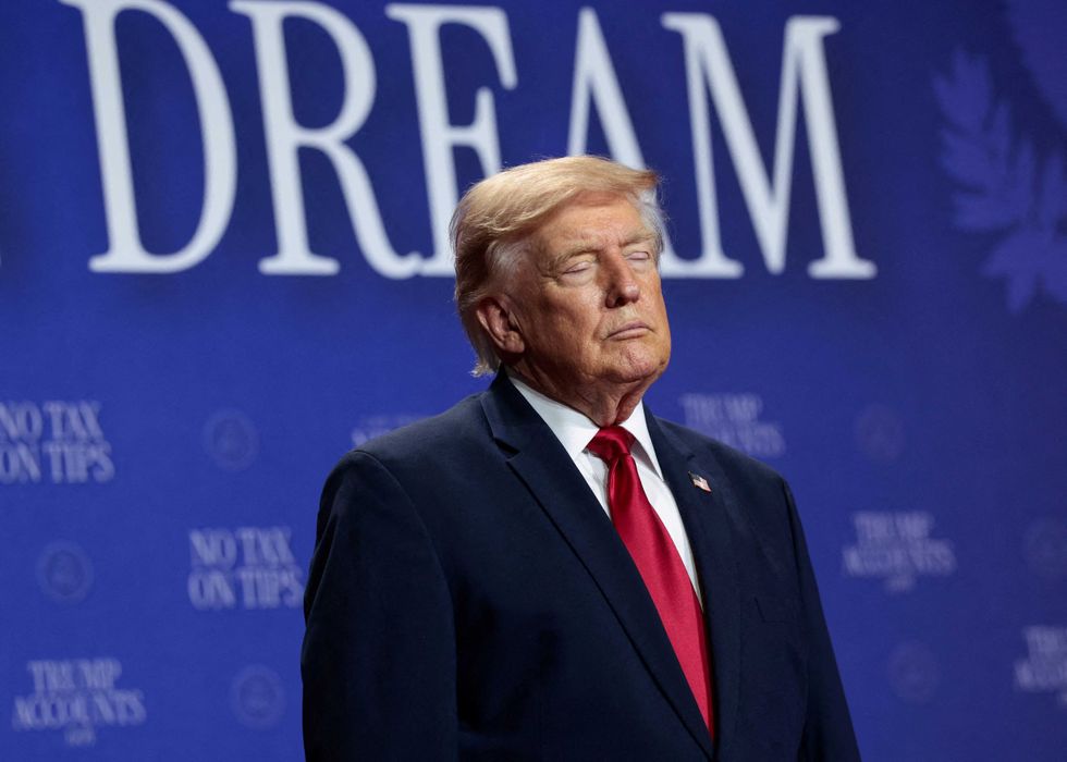 Dems hatch unorthodox plan to finally ‘hold Trump accountable’: report