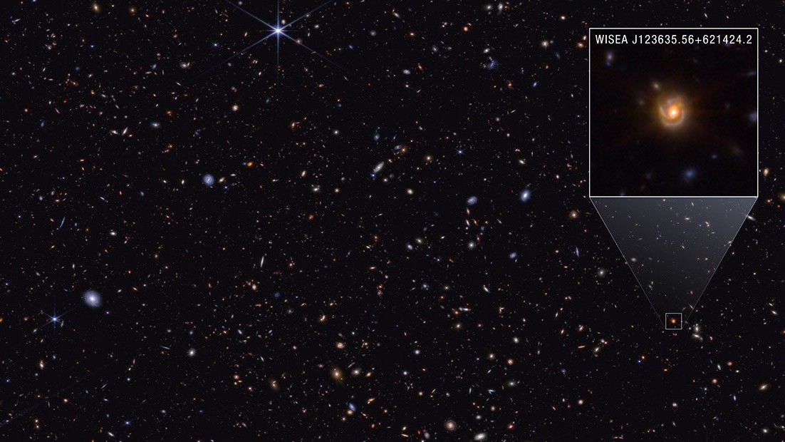 New James Webb telescope image may reveal the true identity of ‘little red dots’ — Space photo of the week