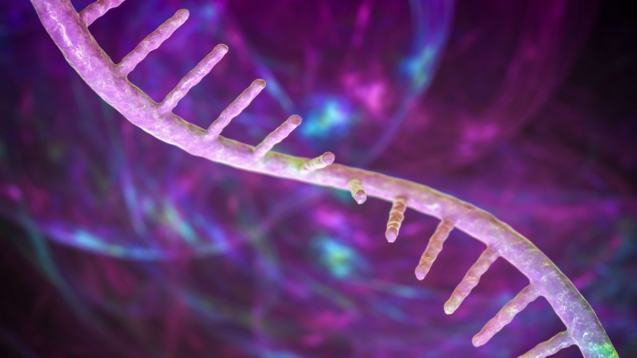 FDA’s approval of new mRNA vaccine does not necessarily signal the government’s embrace of the technology, experts say