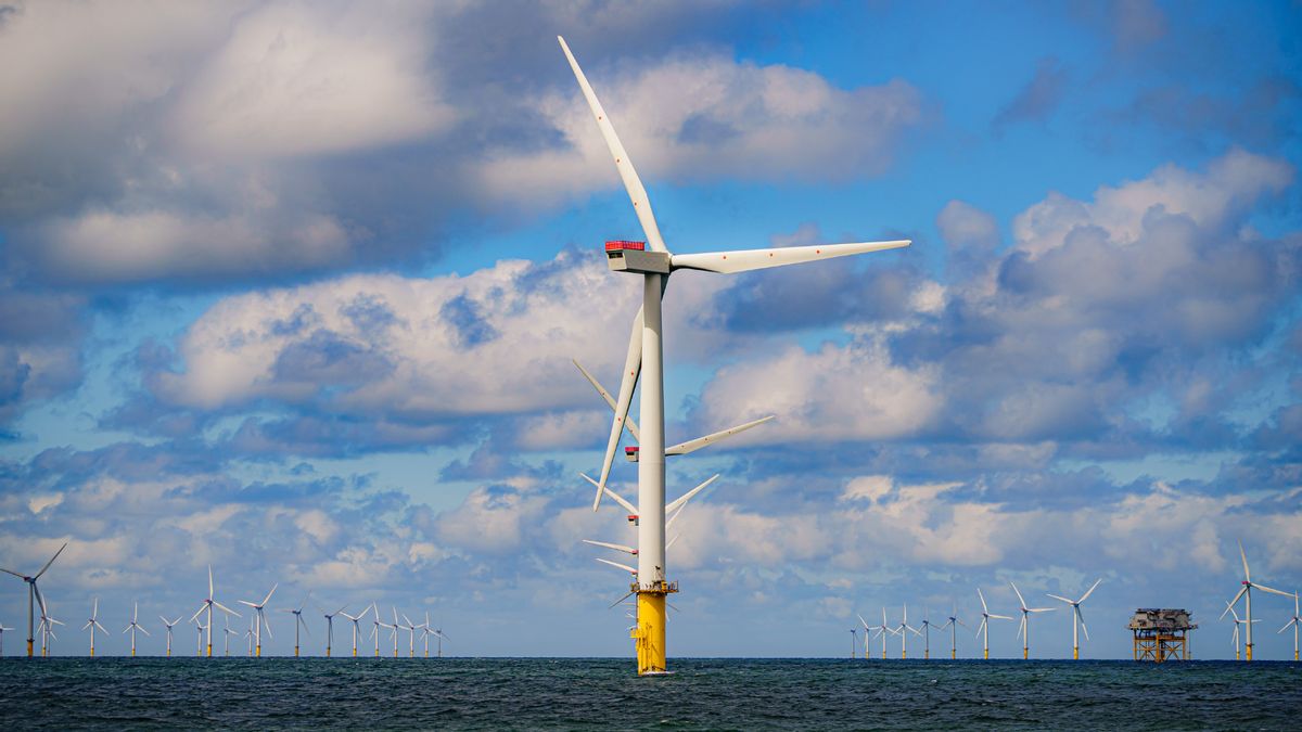 Did Trump admin pay German energy company RWE $1.2B to stop building offshore wind farms?