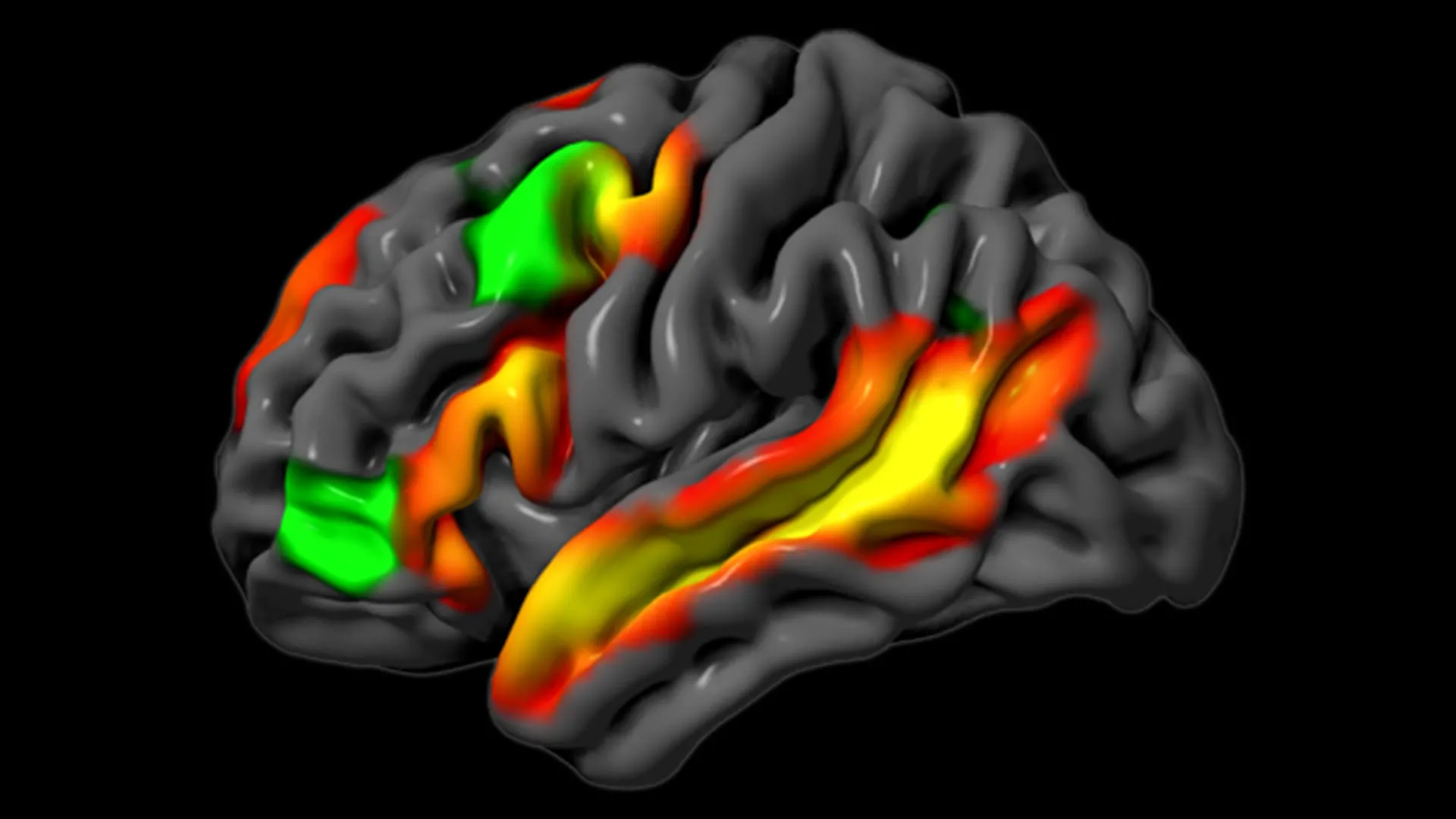 mit-neuroscientists-discover-the-brain-can-reason-without-words