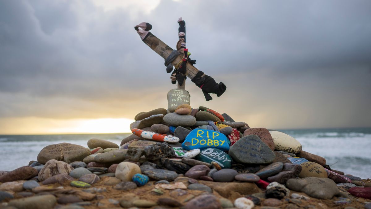 ‘Harry Potter’ fans reportedly forced energy project’s relocation to avoid Dobby’s grave
