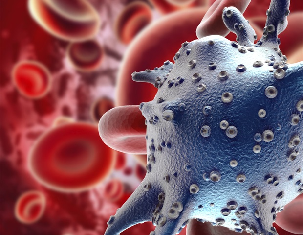 Study uncovers hidden switch that helps cancer cells to evade immune detection