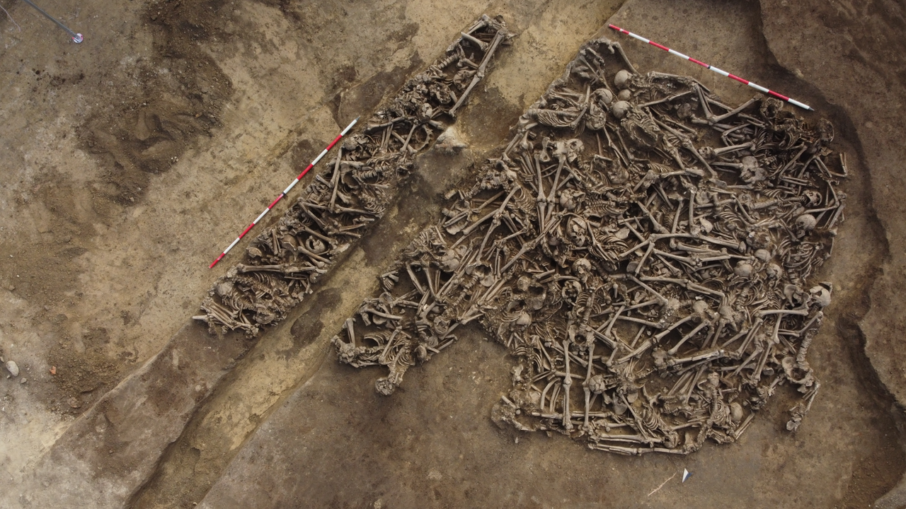 ‘The lance head was still inside the pelvis’: Mass grave found in Austria may hold casualties of unknown ancient Roman battle
