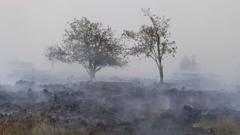 Firefighters battle wildfire tearing through Belgian nature reserve