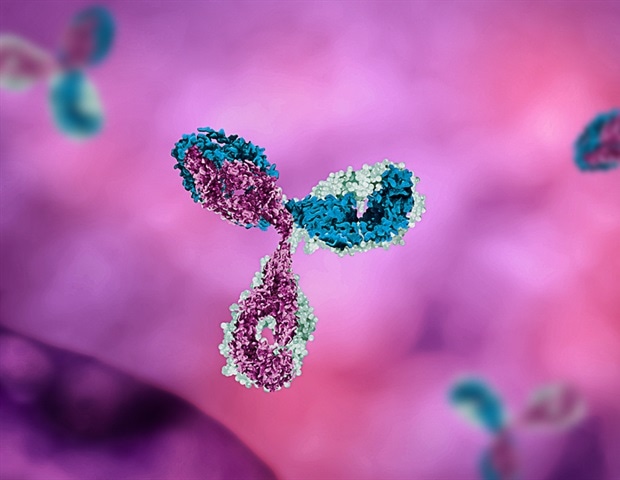 Placental biology breakthrough could make biologic medicines safer during pregnancy