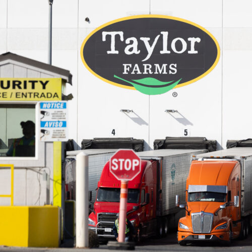 Taylor Farms’ connections to Trump admin spurs probe into Cyclospora response